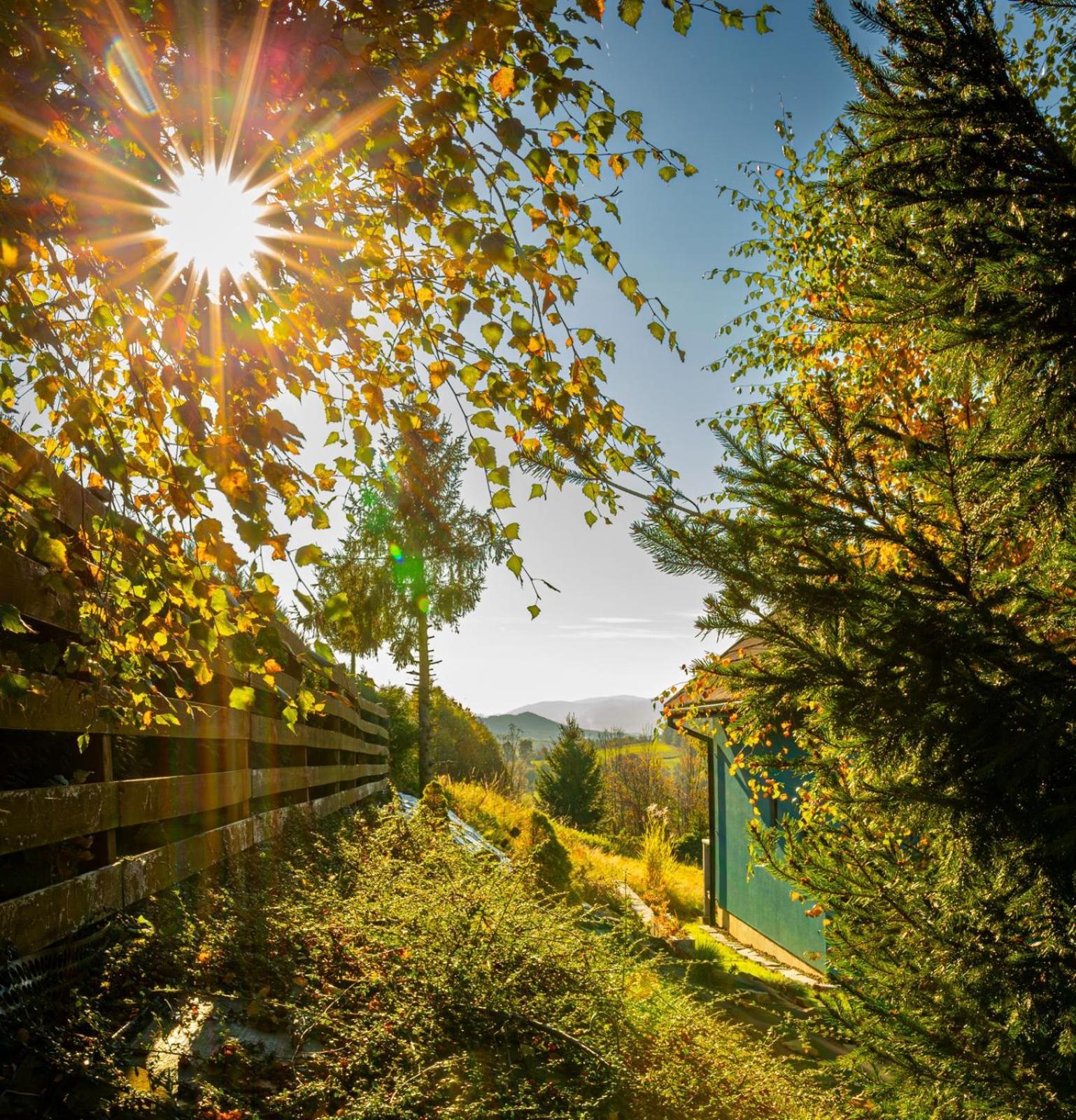 Holiday home Drewniana Stefanowka *